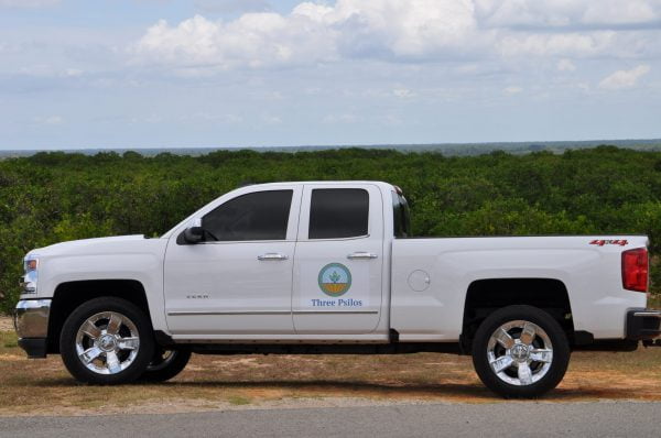 Removal of Invasive, Non-Native Yard Waste in Polk County Florida