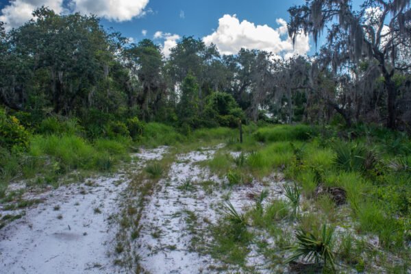 Existing Trail Maintenance (per linear yard)