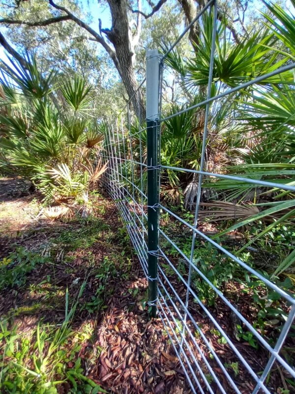 Hog Panel Installation (per foot)