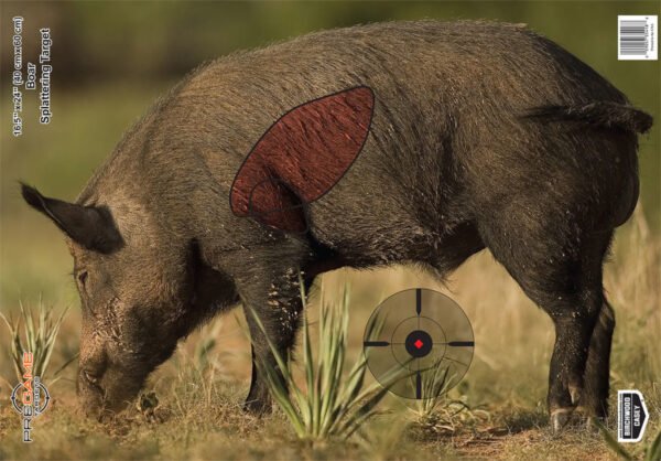 Feral Hog: Hunt & Remove